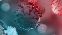 Coronavirus: কলকাতায় লাফিয়ে বাড়ছে চিকিৎসক, নার্স এবং স্বাস্থ্যকর্মীদের মধ্যে করোনার সংক্রমণ । Bangla News