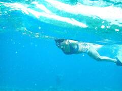 Avika gor Photos: స్విమ్ సూట్‌లో సాగరకన్యలా అందాల అవికా