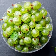 Long Hair Tips:  આ ફૂડને ડાયટમાં કરો સામેલ આપનું લાંબા વાળું સપનું થશે સાકાર