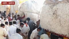 कापुस उत्पादक शेतकऱ्यांंच्या 'अच्छे दिन'; अकोल्यात 'पांढऱ्या सोन्या'ला मिळाला सर्वोच्च भाव