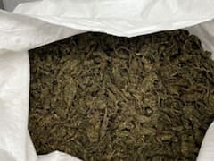 Indore News: ट्रक की घेराबंदी कर नमक के बोरों की हुई जांच, जो मिला उसे देखकर हैरान रह गई डीआरआई की टीम