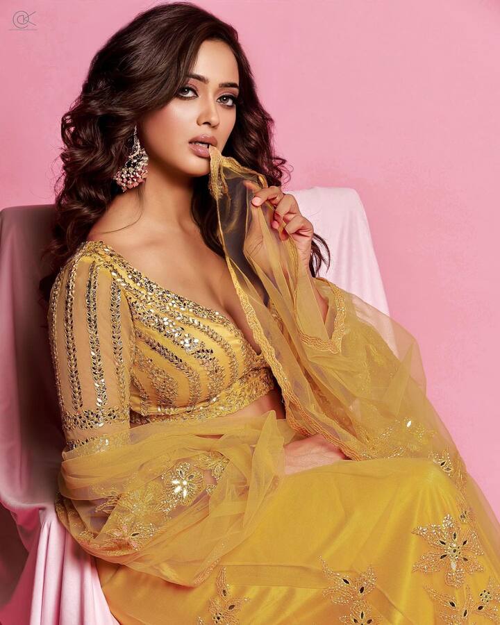 చీరకట్టులో స్వేత తివారి - Image Credit: Shweta Tiwari/Instagram