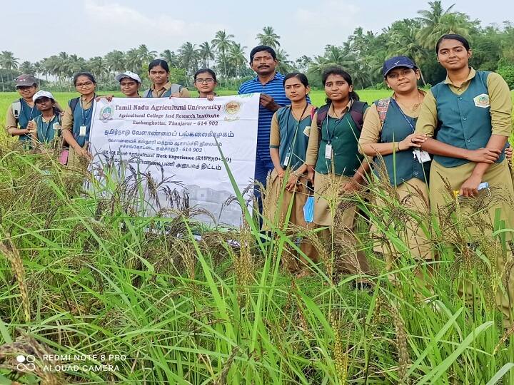 Thiruvarur: How to do organic farming? - Training for Agricultural College students இயற்கை வேளாண்மை செய்வது எப்படி ? - வேளாண் கல்லூரி மாணவிகளுக்கு பயிற்சி