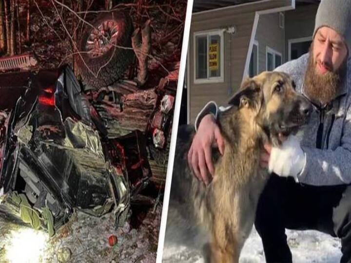 USA: Dog escapes massive car accident brings police to accident site to help injured owner பனிப்பொழிவு.. விபத்தில் சிக்கிய உரிமையாளர்.. போலீஸை அழைத்துவந்து காப்பாற்றிய நாய்.. வைரல் Dog Love