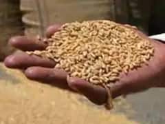 Ujjain News: उज्जैन के लोगों के लिए जरूरी खबर, 2 महीने का एक साथ मिलेगा राशन, जानें तरीका