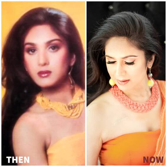 Actress Meenakshi Seshadri Then And Now Photos See Her Latest Instagram Pictures Meenakshi 