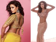 Shweta Tiwari: చీరకట్టులో స్వేత తివారి.. కొంగు జారుతుంటే ఆపాలిగా వయ్యారి!