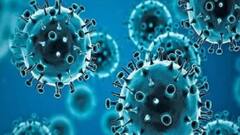 Coronavirus Home Testing : করোনা আক্রান্ত কিনা জানতে বাড়িতেই পরীক্ষা করুন সহজ পদ্ধতিতে