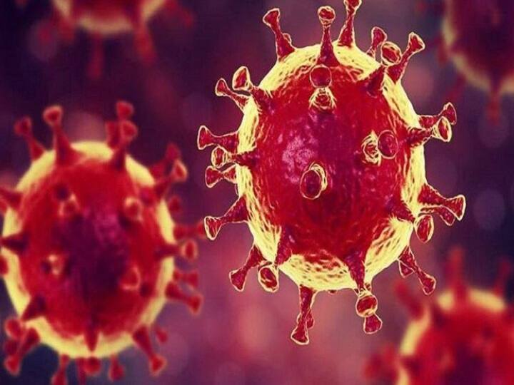 Coronavirus in Faridabad: 259 new cases found on Wednesday in Faridabad, fine will given for violating corona rules Coronavirus in Faridabad: फरीदाबाद में बुधवार को मिले कोरोना के 259 नए मामले, कोविड प्रोटोकॉल का उल्लंघन करने पर लगेगा जुर्माना