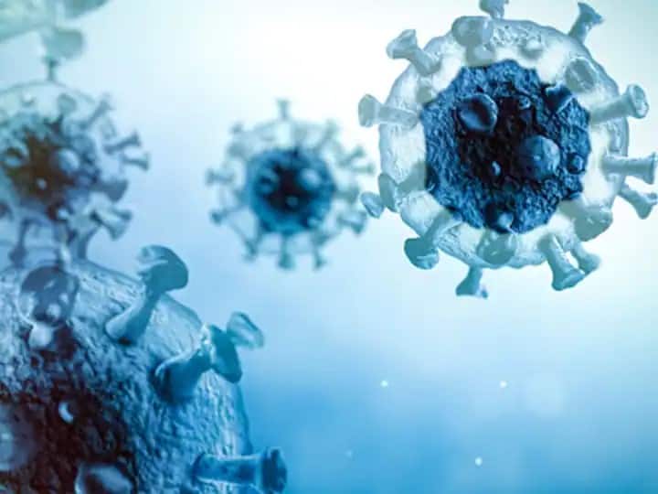 Delhi Coronavirus News: पूर्वी दिल्ली नगर निगम में पांच वार्ड पार्षद कोरोना पॉजिटिव, बढ़ सकती है संख्या