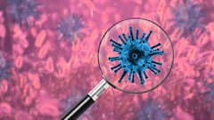 Omicron Death: রাজস্থানের পর ওড়িশা, ওমিক্রনে দেশে দ্বিতীয় মৃত্যু | Bangla News