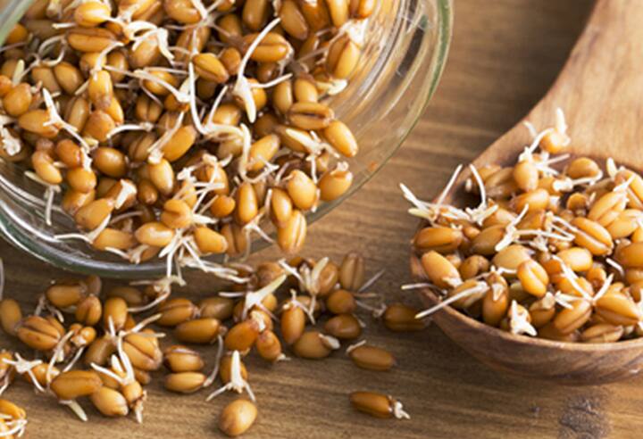Health Tips, Health Benefits of Consuming Sprouted Wheat And Sprouted Wheat Health Benefits
