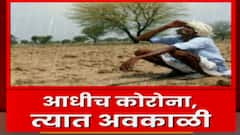 Vidharbha Rain: विदर्भात काही ठिकाणी गारपिटीची शक्यता, पावसाचा अंदाज ABP Majha
