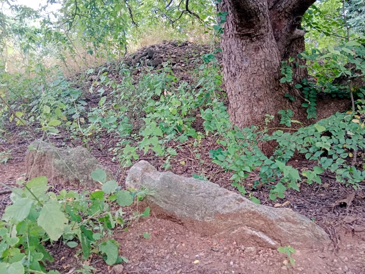 தேனியில் 2500 ஆண்டுகள் பழமையான பெருங்கற்கால கல்வட்டம் கண்டுபிடிப்பு
