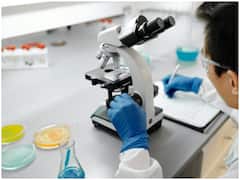 NHM MP Recruitment 2021-22: नेशनल हेल्थ मिशन एमपी ने लैब टेक्नीशियन के पदों पर निकाली भर्ती, इस तारीख के पहले कर दें अप्लाई