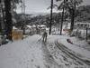 Heavy Snowfall: जम्मू कश्मीर में 'बहुत भारी बर्फबारी', रेड अलर्ट जारी, IMD ने कहा- बिगड़ सकते हैं हालात