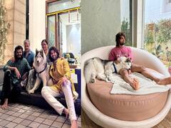 Vijay Deverakonda House Photos: आलीशान बंगले में मम्मी, पापा और भाई के साथ ठाठ से रहते हैं साउथ सुपरस्टार विजय देवरकोंडा, देखें तस्वीरें