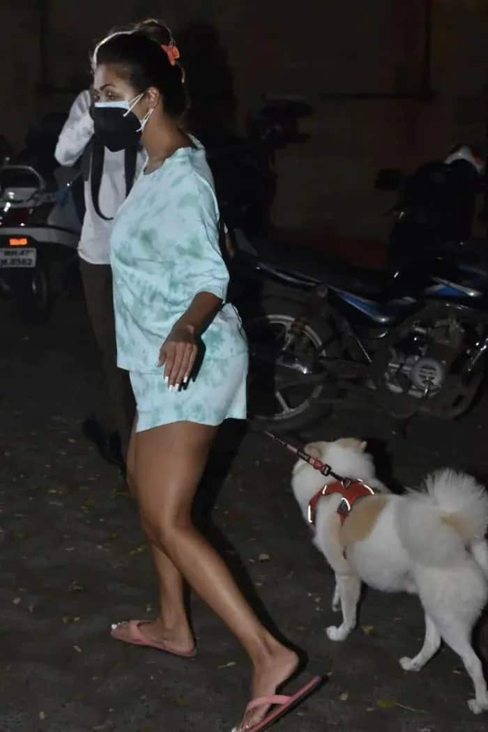 બુધવારે મલાઈકા અરોરા બાંદ્રામાં તેના કૂતરા સાથે જોવા મળી હતી.