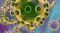 Coronavirus cases BREAK 214 days record | Full Report