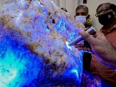 Sri Lanka Is Looking To Sell ‘Queen of Asia’, Its 310-Kg Blue Sapphire, If The Buyer Pays Over US$100 Mn