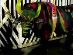 जरा हटके ! रेड्याच्या वाढदिवसाला अख्या गावाने मारला मटणावर ताव; वाजतागाता काढली मिरवणूक