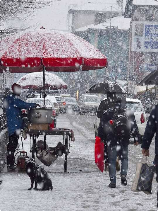 कश्मीर में भारी बर्फबारी