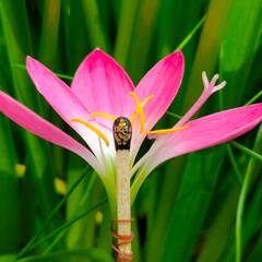 In Pics : एका तिळाचे शंभर तुकडे, यवतमाळ जिल्ह्यातील पुसदच्या अभिषेक रुद्रवारची कामगिरी