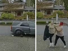 Watch: जल्दबाजी में फंस गई चोरी कर भाग रही लड़की, पार्टनर ले उड़ा कार और खुद पहुंच गई जेल