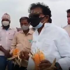 Baireddy Comments: ప్రభుత్వ తీరుపై బైరెడ్డి ఘాటు వ్యాఖ్యలు