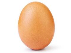 Viral Photo: अंडे की एक तस्वीर ने सोशल मीडिया पर मचाया हुआ है तहलका, सच्चाई जानकर रह जाएगे हैरान