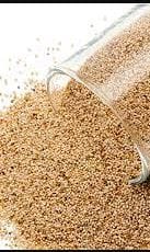 শরীরের হাজার সমস্যা ভ্যানিশ! এভাবে খেলে মিরাকল ঘটায় পোস্ত