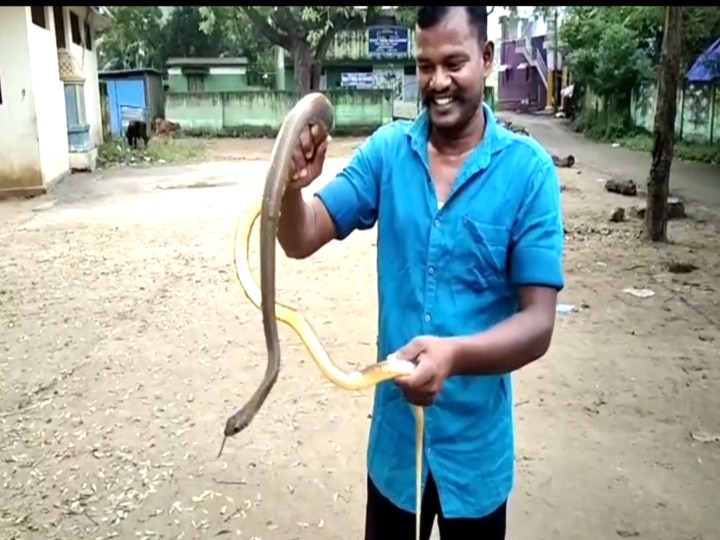 தினேஷை கண்டவுடன் பெட்டி பாம்பாய் அடங்கும் பாம்புகள் - இதுவரை 10,000க்கும் அதிகமான பாம்புகளை பிடித்து சாதனை