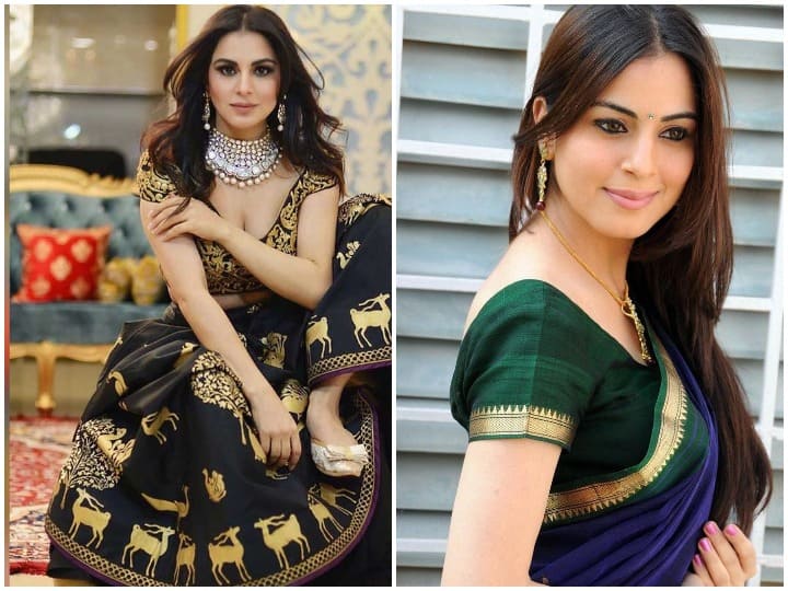 ‘कुंडली भाग्य’ में प्रीता से पहले श्रद्धा आर्या ‘मैं लक्ष्मी तेरे आंगन की’ और 'तुम्हारी पाखी' सीरियल में भी नजर आ चुकी है.