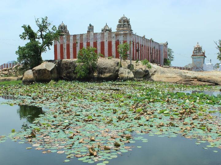 மலை உச்சியில் சுனை நீருடன் காட்சியளிக்கும் திருச்சுனை கோயில்.