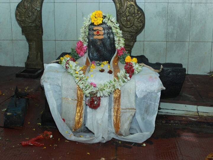 லிங்க வடிவில் சிவபெருமான் மூலவராக காட்சியளிக்கிறார்.