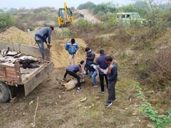 Udaipur News: उदयपुर में जानवरों के बाड़े में पैंथर के हमले, 71 भेड़ बछड़ों की मौत, घटना से इलाके में दहशत