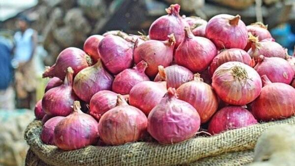 Farmers suffer due to artificial scarcity of fertilizers, onion growers' association warns of agitation खतांच्या कृत्रीम टंचाईमुळे शेतकरी त्रस्त, कांदा उत्पादक शेतकरी संघटनेचा आंदोलनाचा इशारा