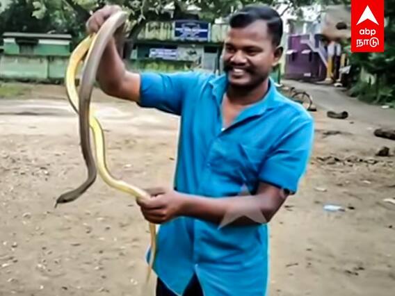 Mayiladuthurai : 10,000 பாம்புகளை பிடித்த இளைஞர்! வன உயிரிகளின் காதலன் ஆனது எப்படி?