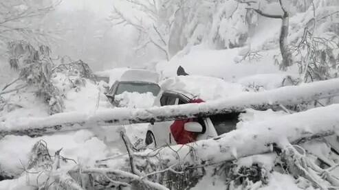 Pakistan: 21 people including 9 kids freeze to death in cars stranded in snow પાકિસ્તાનમાં પડી એટલી ઠંડી કે 10 બાળકો સહિત 22 લોકો કારમાં જ થીજીને મરી ગયા