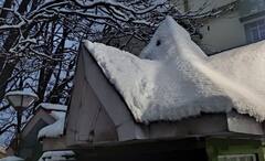 Photos Snowfall in Shimla: પહાડોની રાણી શિમલામાં હિમવર્ષાથી ચોમેર છવાઈ સફેદ ચાદર