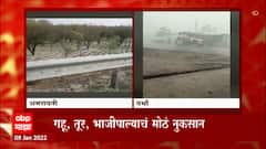 Maharashtra : राज्यात पुन्हा अवकाळी पावसाची हजेरी, अमरावती, वर्धा जिल्ह्यात शेतकऱ्यांचं मोठं नुकसान