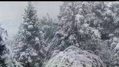 Uttarakhand Snowfall: पहाड़ों पर चारों तरफ बर्फ ही बर्फ, देखिए ये नजारा| Hindi News