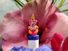 In Pics : एका तिळाचे शंभर तुकडे, यवतमाळ जिल्ह्यातील पुसदच्या अभिषेक रुद्रवारची कामगिरी