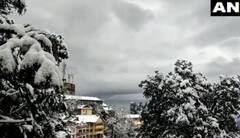 Photos Snowfall in Shimla: પહાડોની રાણી શિમલામાં હિમવર્ષાથી ચોમેર છવાઈ સફેદ ચાદર