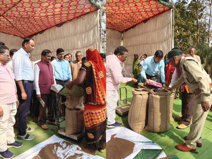 Chhattisgarh News Kodo Kutki And Ragi Will Now Be Purchased Through All ...