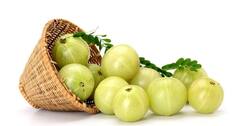 AMLA Benefits: વધતી ઉંમરની અસરને ઘટાડવા માટે શિયાળામાં આ સુપરફૂડનું સેવન કરો, જાણો તેના સેવનના જબરદસ્ત 7 ફાયદા
