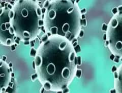 Deltacron: সাইপ্রাসে পাওয়া গেল করোনার নতুন স্ট্রেইন ‘ডেল্টাক্রন’! বাড়ছে উদ্বেগ