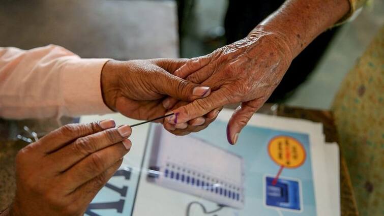 Maharashtra Election 81 per cent for NagarPanchayat and 73 per cent voting for Zilla Parishads Election : नगरपंचायतींसाठी 81 टक्के तर जिल्हा परिषदेसाठी 73 टक्के मतदान झाल्याचा प्राथमिक अंदाज