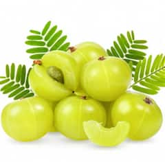 AMLA Benefits: વધતી ઉંમરની અસરને ઘટાડવા માટે શિયાળામાં આ સુપરફૂડનું સેવન કરો, જાણો તેના સેવનના જબરદસ્ત 7 ફાયદા