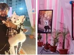 காற்றில் பறந்த கொரோனா விதிகள்.. ஜுஜு பிறந்தநாளுக்கு 7 லட்சம் செலவு.. கடுப்பான காவல்துறை.. மூவர் கைது..